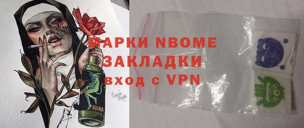 дмт Ельня