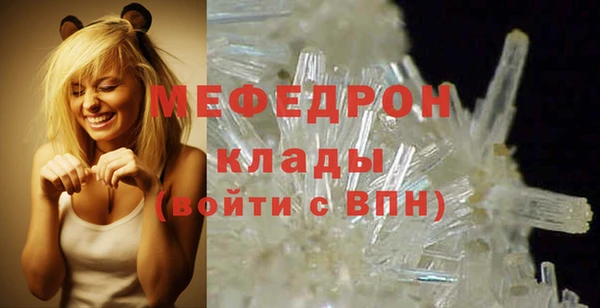 дмт Ельня