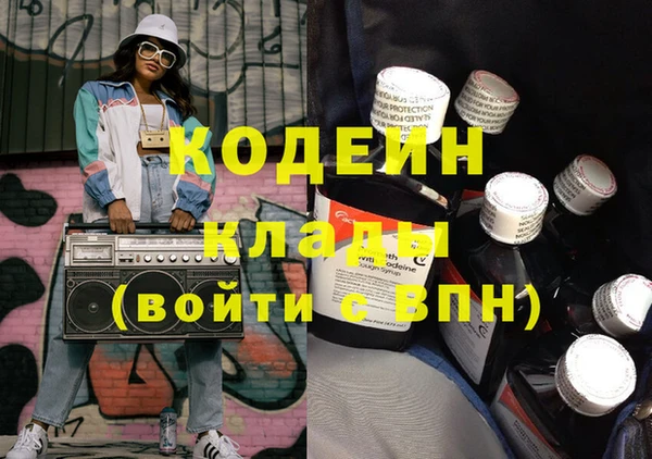 дмт Ельня