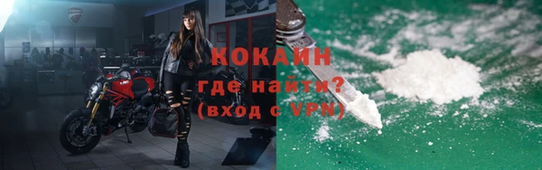 дмт Ельня