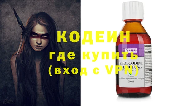 дмт Ельня
