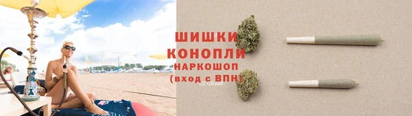 дмт Ельня