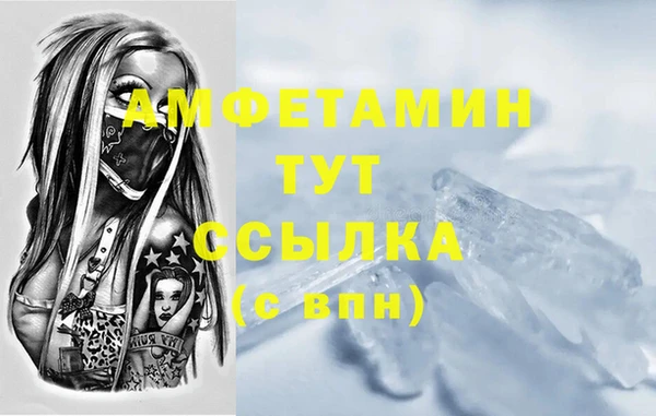 дмт Ельня