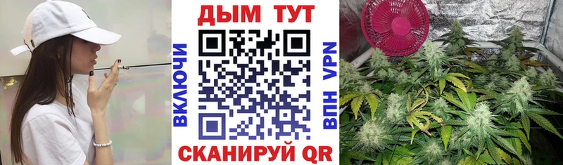 где найти наркотики  Зея  Шишки марихуана план 